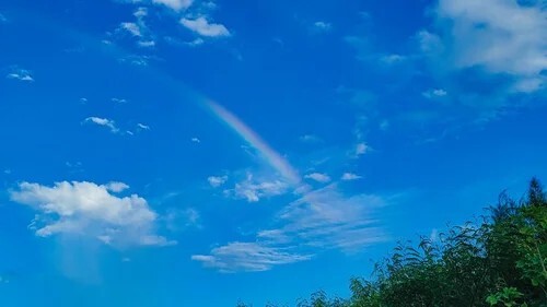 札幌市西区発寒、宮の沢駅近く、神経内科・内科